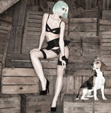 Lascivious Stockings (More Colors)